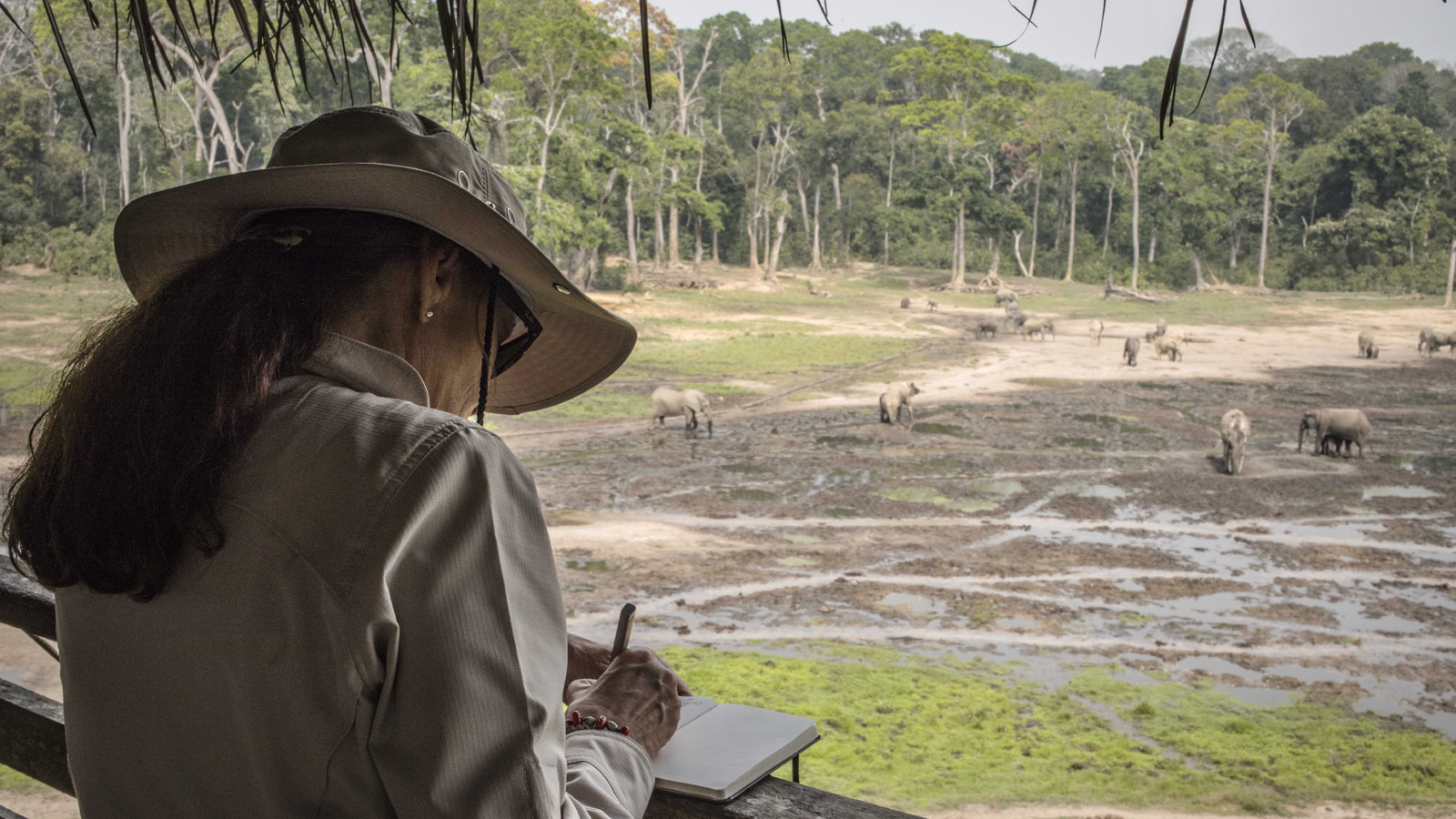 Home • Elisabetta Dami